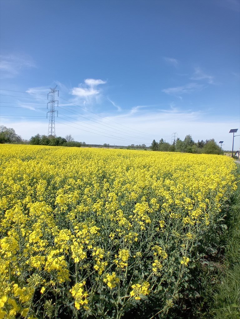 Dom na sprzedaż Rzeczyce, Łąkowa  160m2 Foto 4