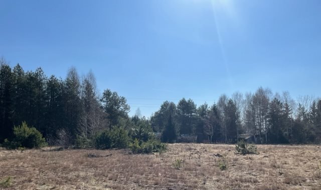 Działka budowlana na sprzedaż Faryny, mazury  800m2 Foto 1