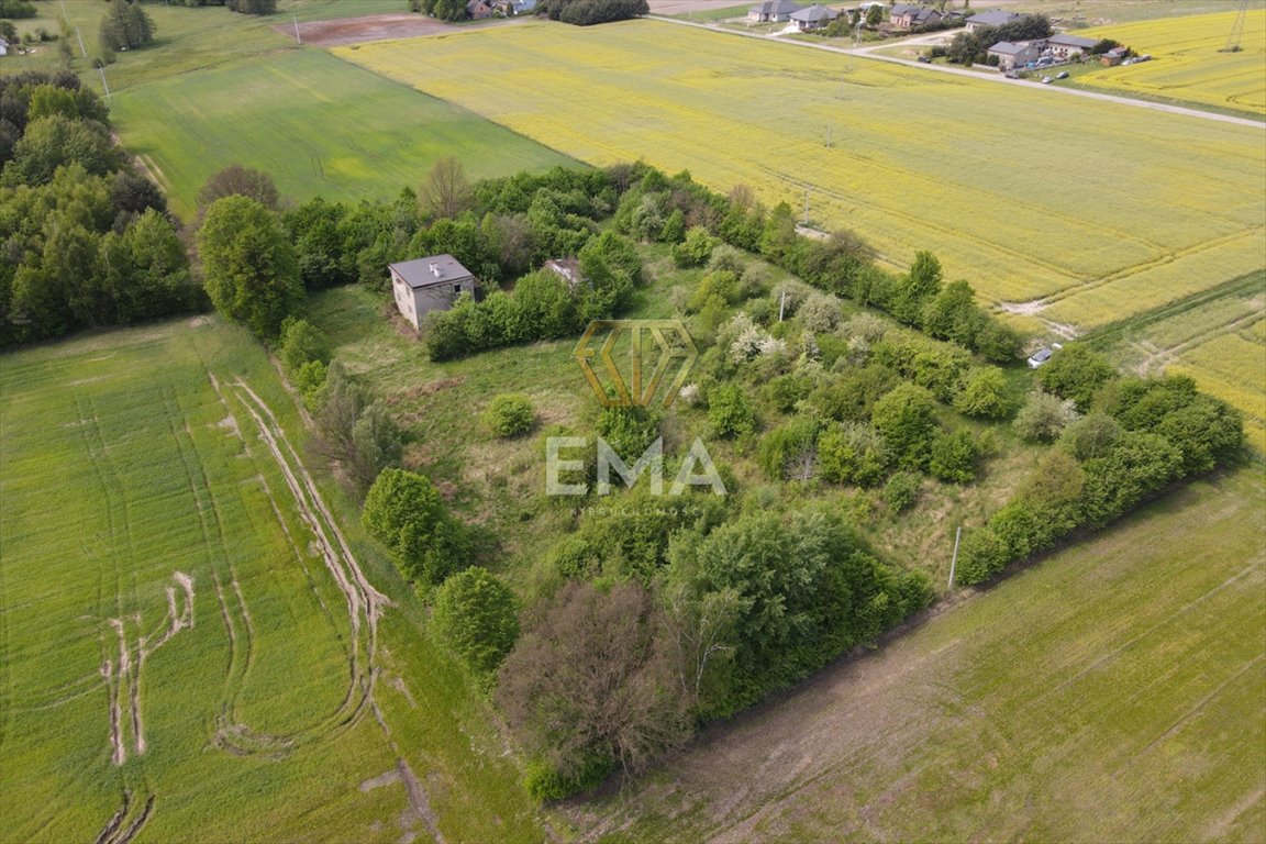 Działka rolna na sprzedaż Zwierzyniec Pierwszy  10 357m2 Foto 3