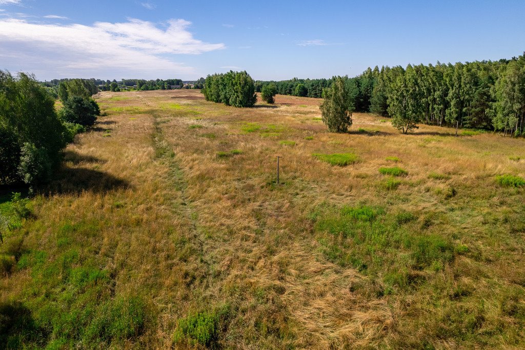 Działka budowlana na sprzedaż Konstancin-Jeziorna  70 000m2 Foto 11