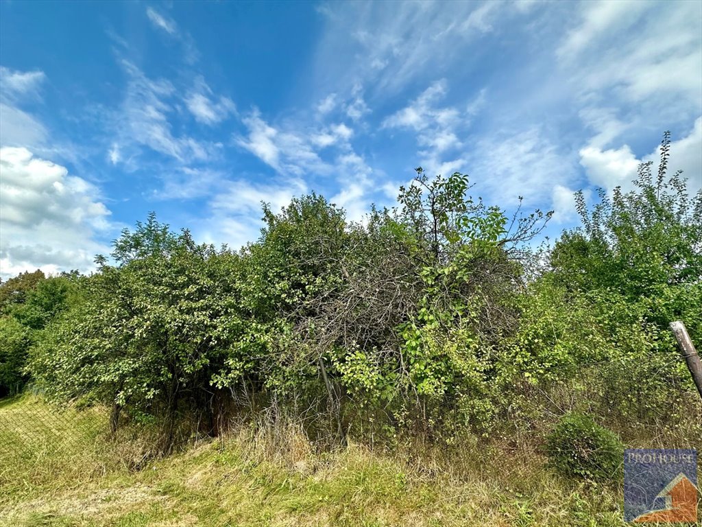 Działka budowlana na sprzedaż Limanowa, Stara Wieś  5 700m2 Foto 14