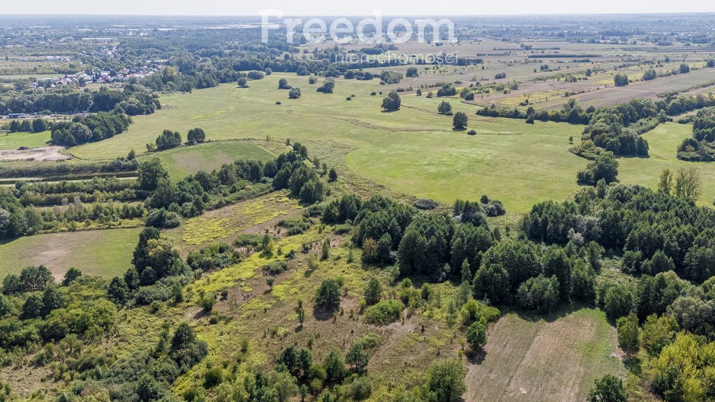 Działka rolna na sprzedaż Ostrówiec  3 924m2 Foto 8