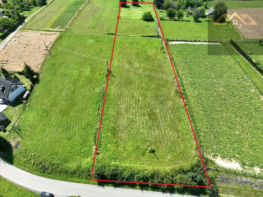 Działka budowlana na sprzedaż Dąbrówka Szczepanowska  4 800m2 Foto 1