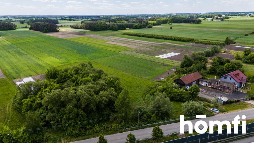 Działka budowlana na sprzedaż Stare Żdżary  9 300m2 Foto 5