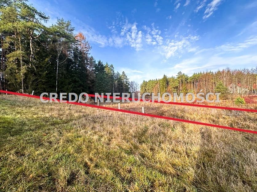 Działka rolna na sprzedaż Spychowo  2 636m2 Foto 18