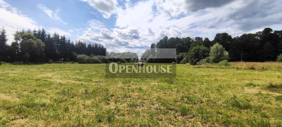 Działka budowlana na sprzedaż Sieroszowice  20 000m2 Foto 1