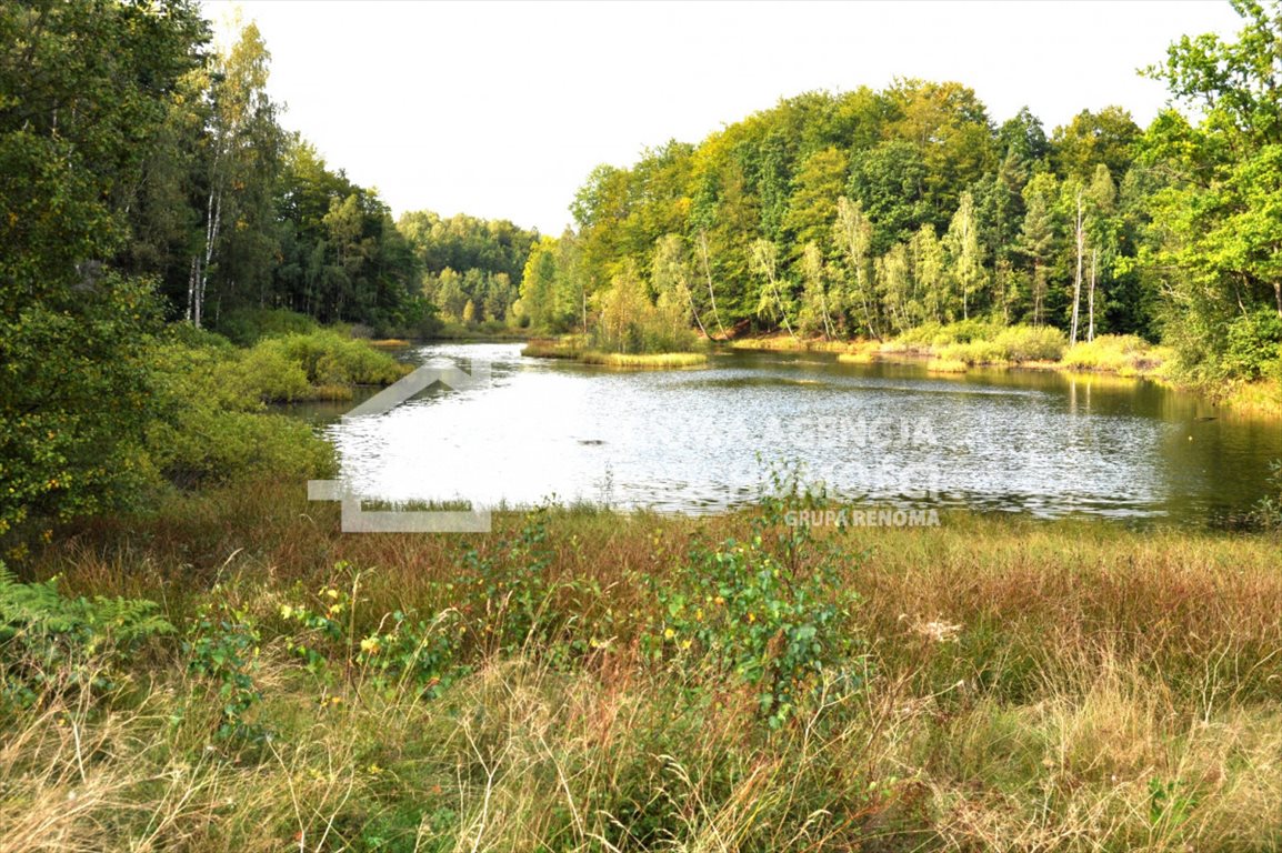 Działka budowlana na sprzedaż Gołubie  1 033m2 Foto 12