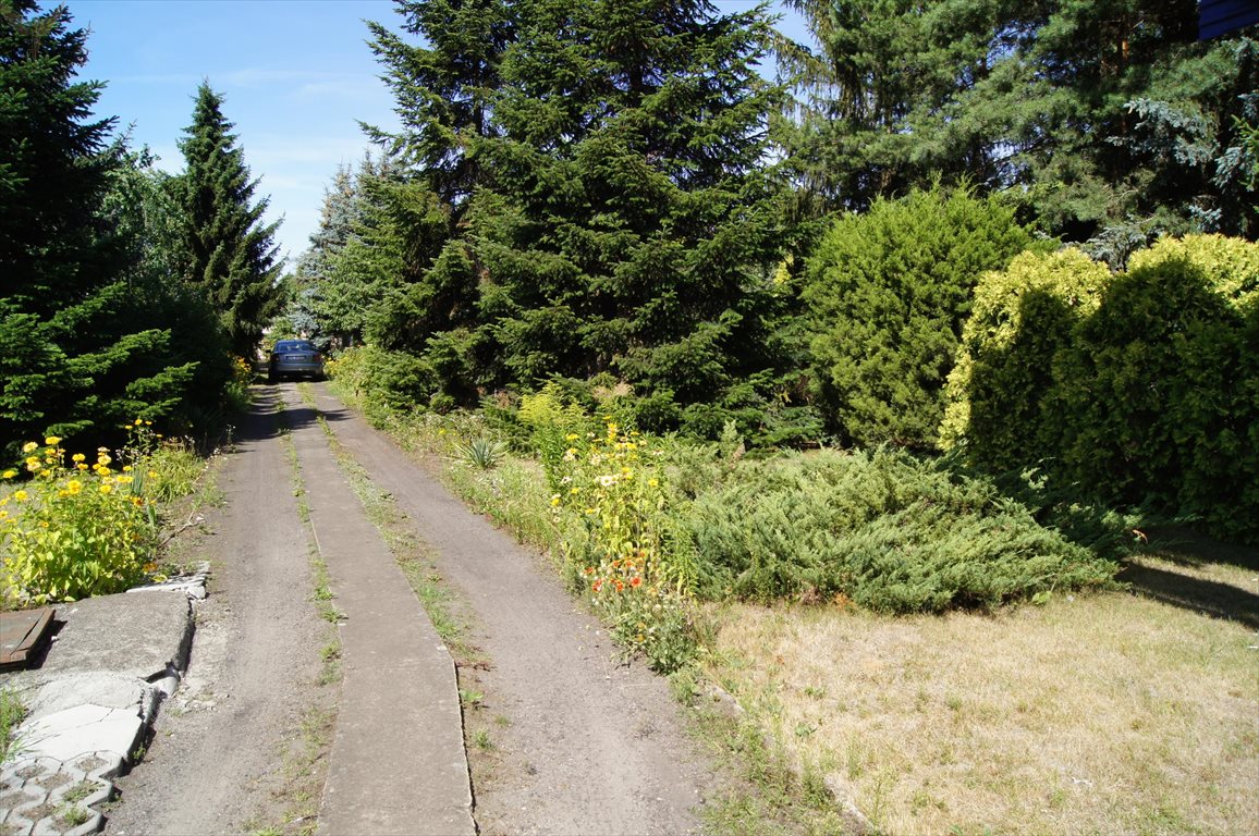 Działka z domem do remontu, wielorodzinna lub usługowa Poznań, Winiary  1 217m2 Foto 1