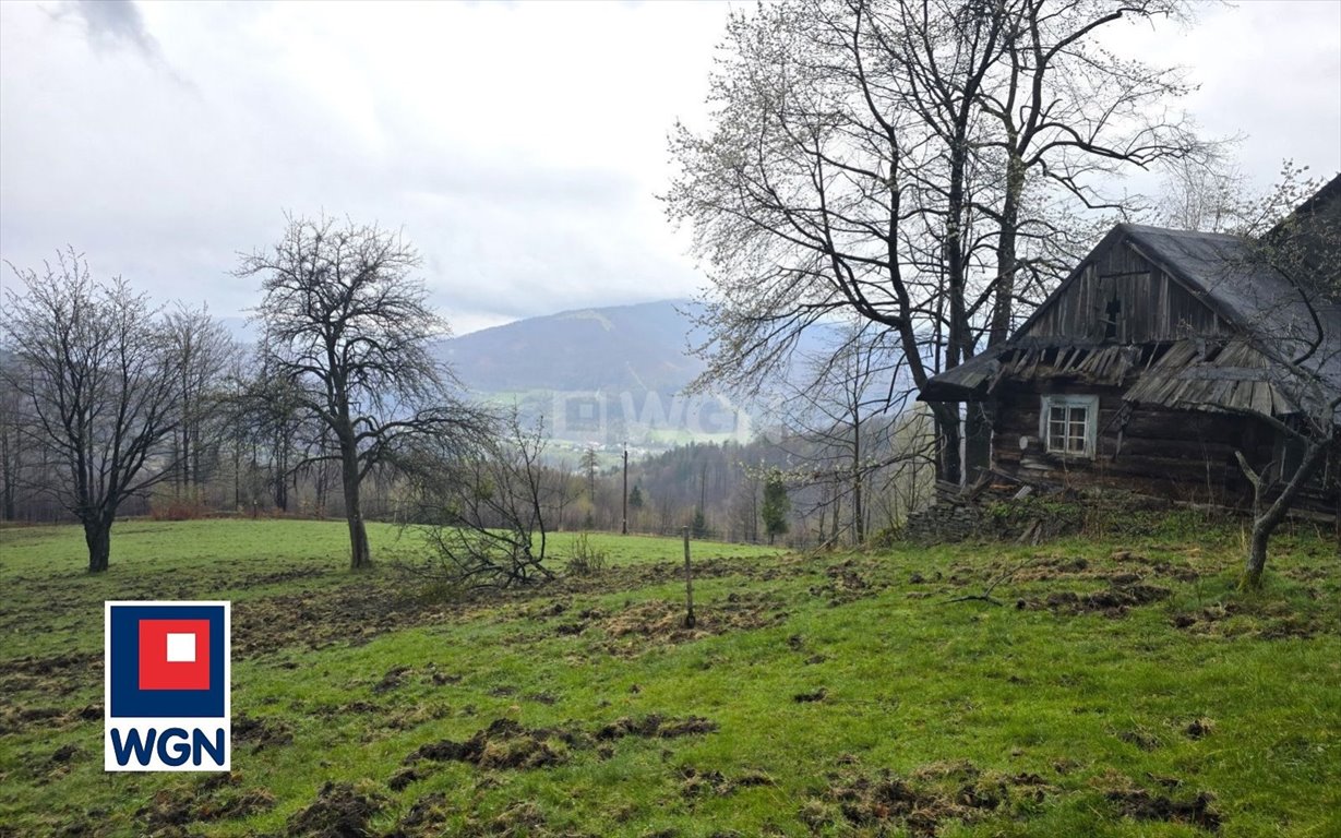 Działka siedliskowa na sprzedaż Ustroń, Równica  11 085m2 Foto 11