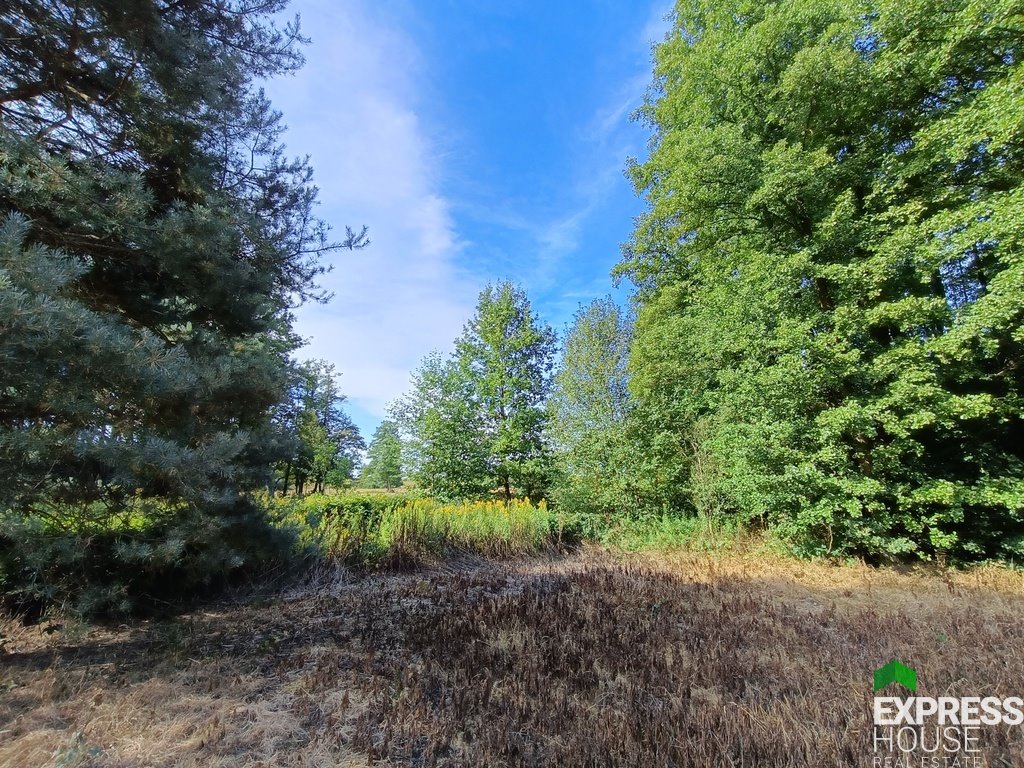 Działka rolna 11 800 m² z mediami i dojazdem asfaltowym Przydawki  11 800m2 Foto 1