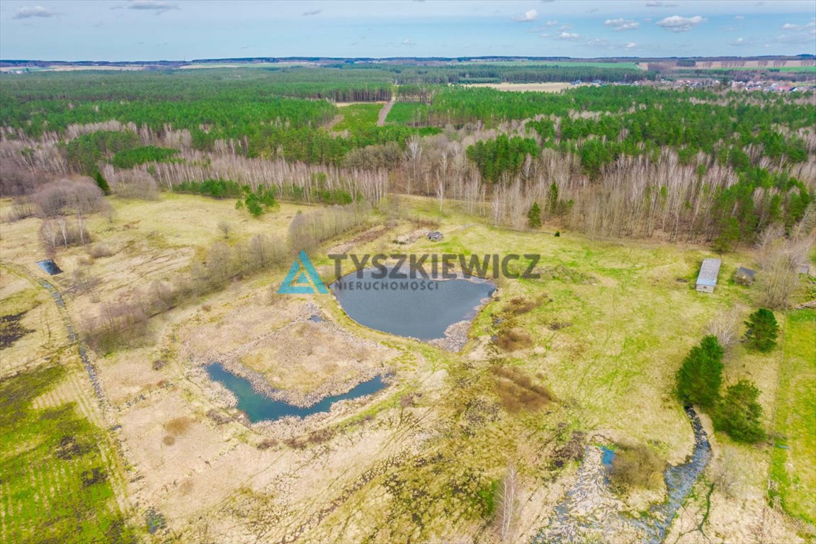 Działka rolna na sprzedaż Zielin  59 900m2 Foto 4