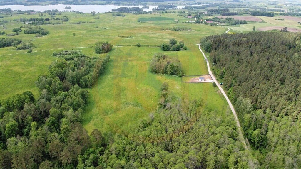 Działka rolna na sprzedaż Dobra Wola  3 303m2 Foto 1