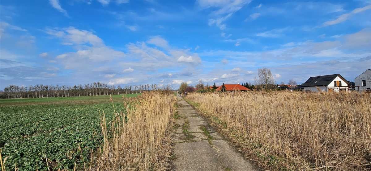 Działka budowlana na sprzedaż Pęgów, Pęgów, Jarzębinowa  1 042m2 Foto 6