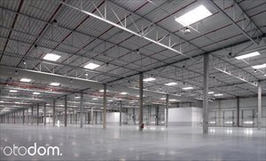 Lokal użytkowy na wynajem Bydgoszcz, Bartodzieje 1 500m2 Foto 1 Lokal użytkowy na wynajem Bydgoszcz, Bartodzieje 1 500m2 Foto 1
