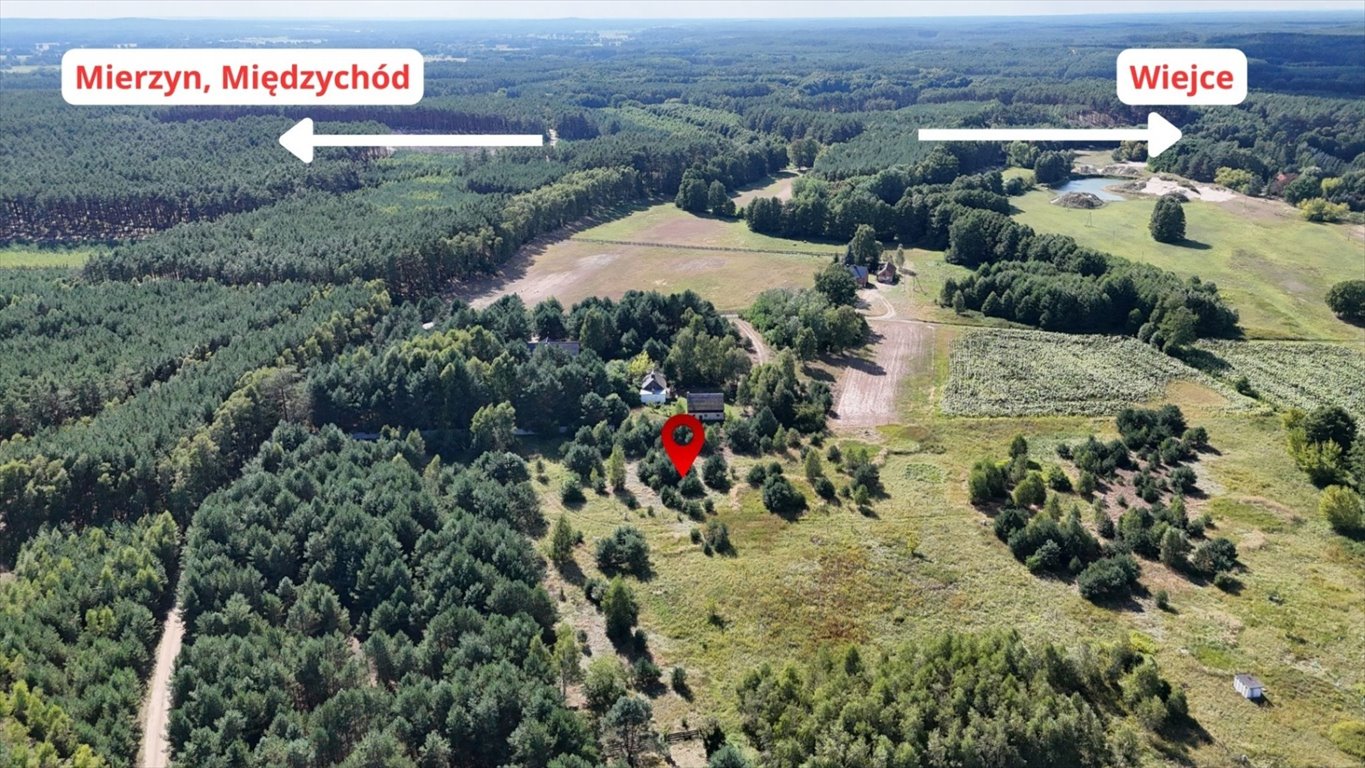 Działka 3006 m² z projektem domu w Piłce - polecam Piłka, 14  3 006m2 Foto 1