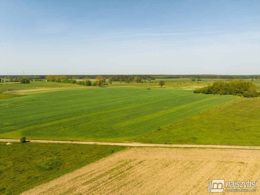 Działka rolna pod dzierżawę Przybiernów  15 202m2 Foto 5