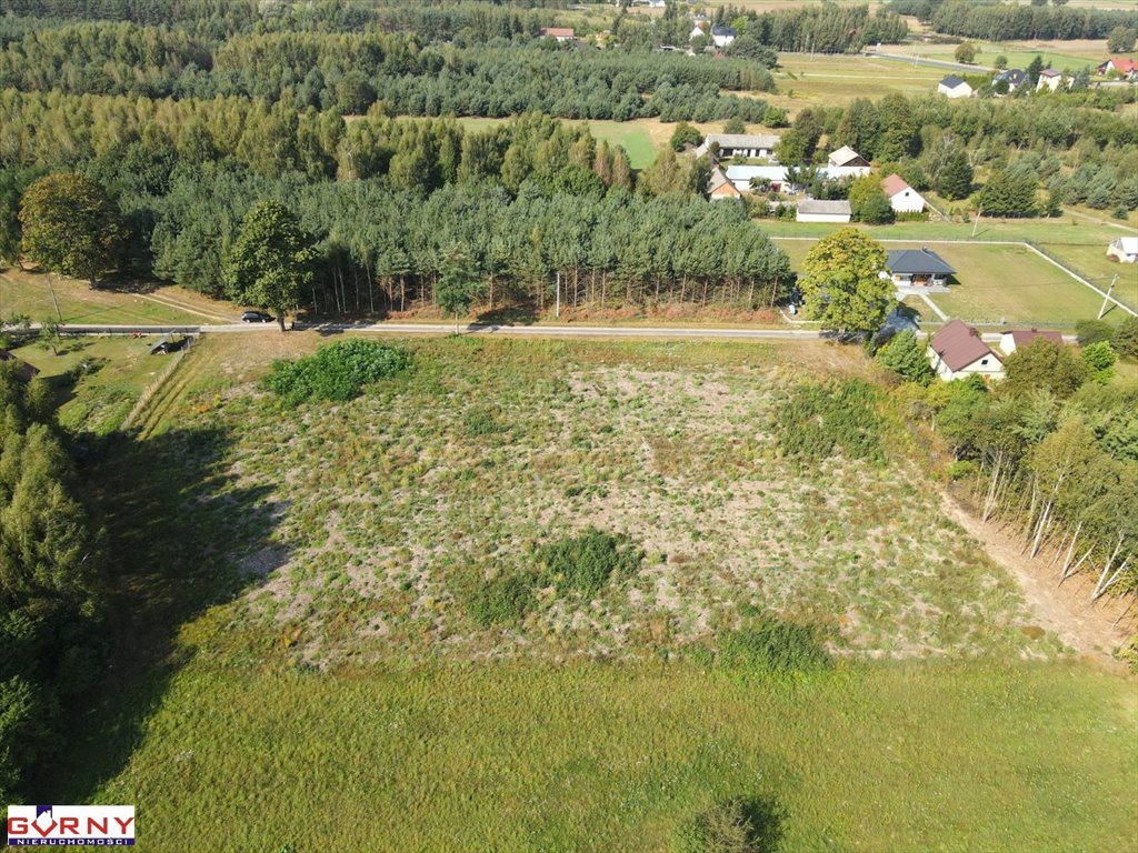 Polecam dużą działkę 7 490 m² z warunkami zabudowy w Mniszkowie Mniszków  7 400m2 Foto 1