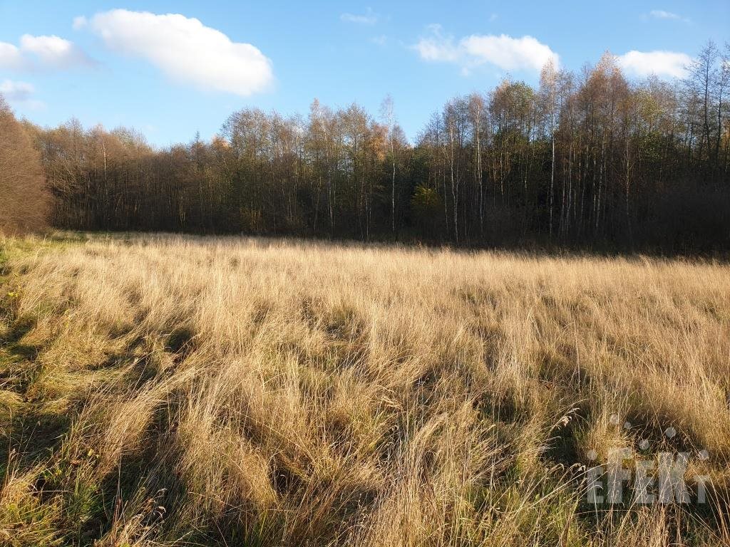 Działka rolna na sprzedaż Wycześniak  40 300m2 Foto 2