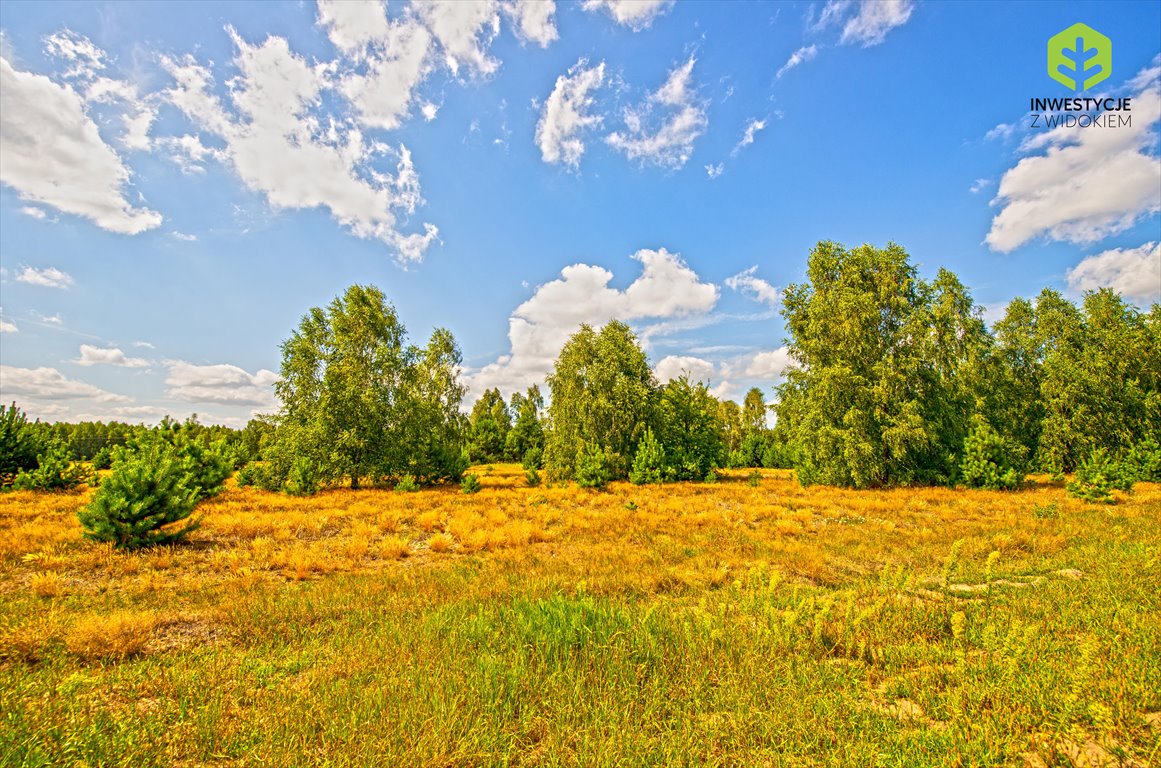 Działka budowlana na sprzedaż Rynia, Działki budowlane na nowym osiedlu przy lesie  732m2 Foto 7