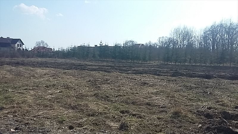 Działka budowlana na sprzedaż Warszawa, Wilanów, Rosy  1 200m2 Foto 3