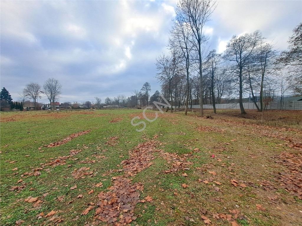 Działka budowlana na sprzedaż Michałów-Reginów  1 000m2 Foto 1