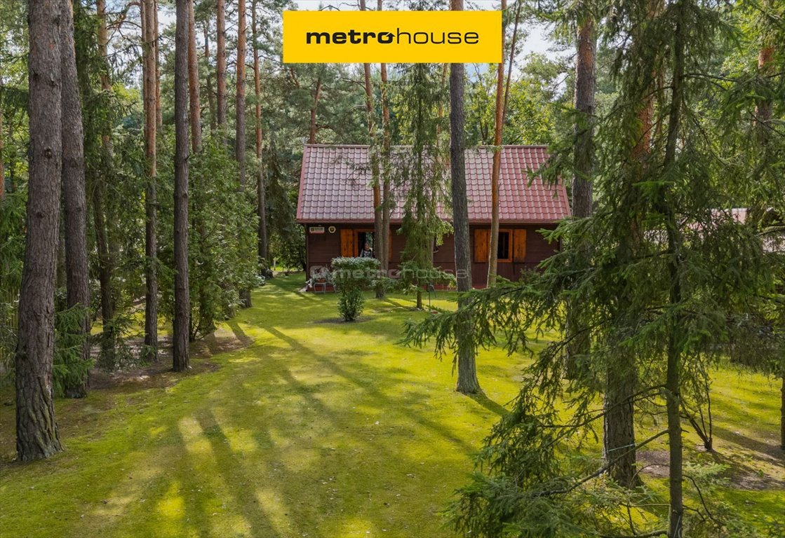 Dom na sprzedaż Borsuki-Kolonia  61m2 Foto 1