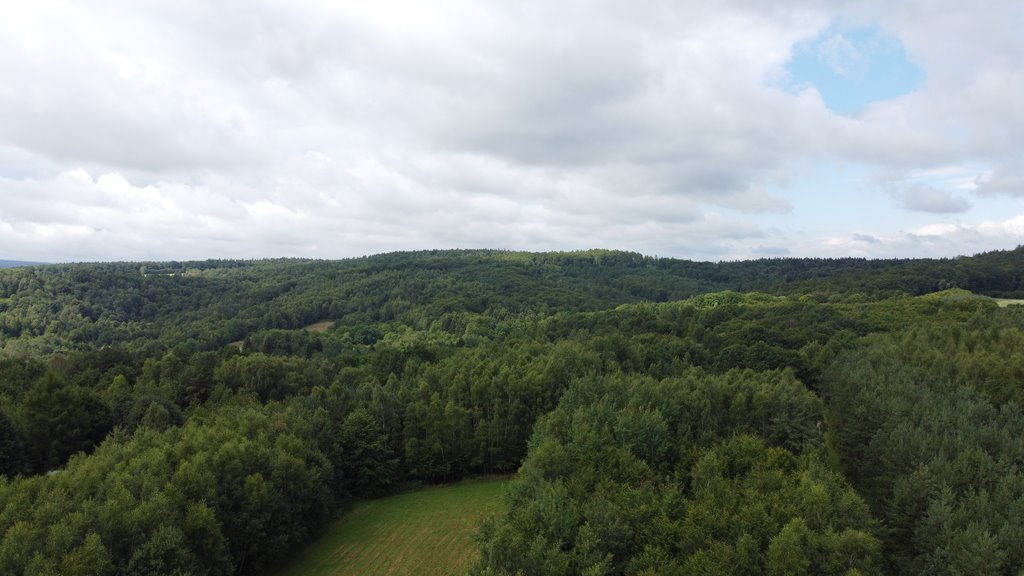 Działka budowlana na sprzedaż Nowy Borek  8 060m2 Foto 3