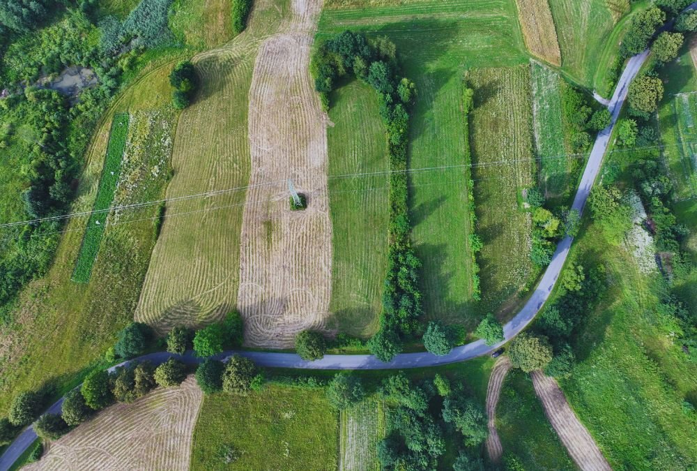 Działka rolna na sprzedaż Jankowce  2 900m2 Foto 6