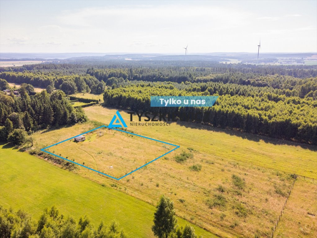 Działka 3001 m² z domkiem, lasem i MPZP w Dąbrowie Dąbrowa Brzezieńska  3 001m2 Foto 1