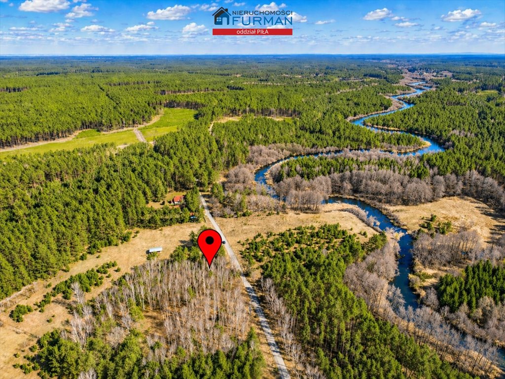 Malownicza działka 3094 m² z lasem i dostępem do rzeki Czechyń  3 094m2 Foto 1