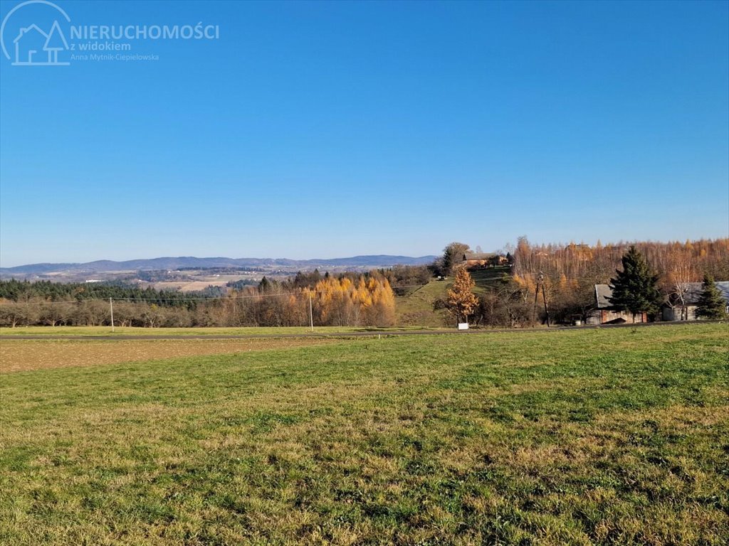 Działka budowlana na sprzedaż Turza  2 517m2 Foto 8