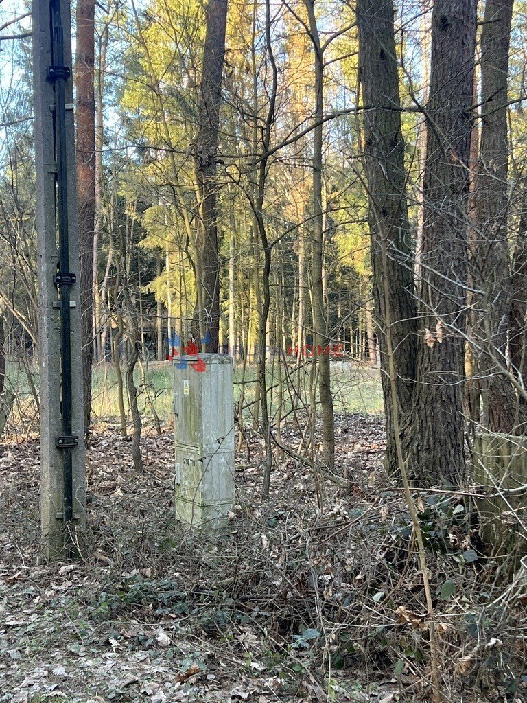 Działka 1914 m² z lasem i nową zabudową w Prace Duże Prace Duże  1 914m2 Foto 1