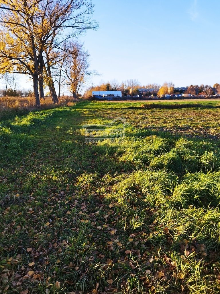 Działka budowlana na sprzedaż Dawidy  4 492m2 Foto 2