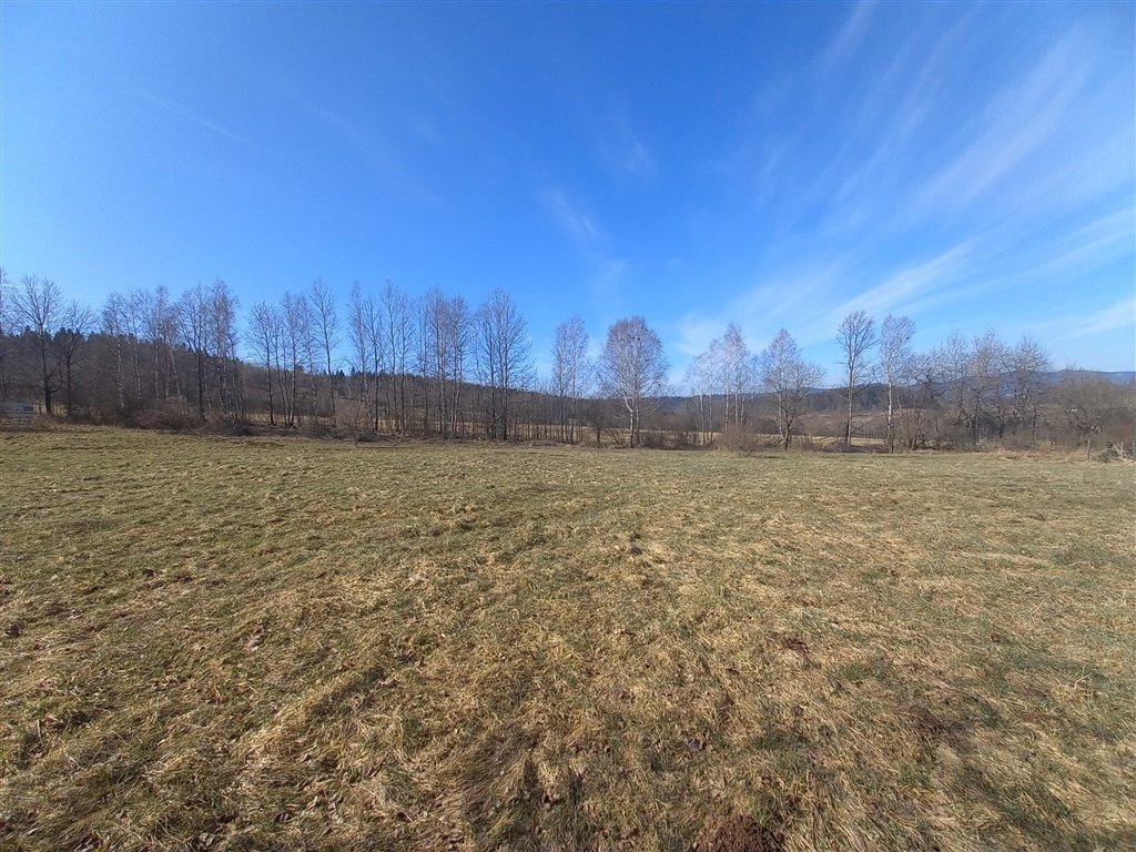 Działka 1351 m2 z widokiem na Góry Suche i Wałbrzyskie Sierpnica  1 351m2 Foto 1