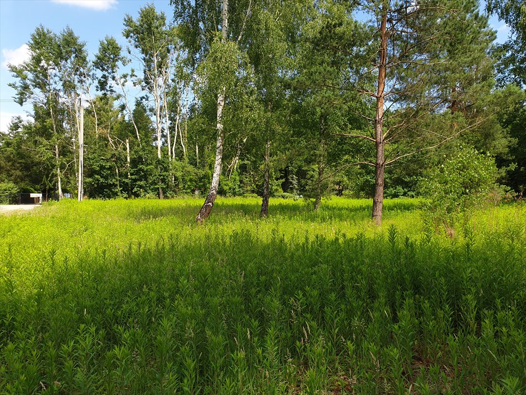 Działka budowlana na sprzedaż Nowy Prażmów  2 097m2 Foto 2