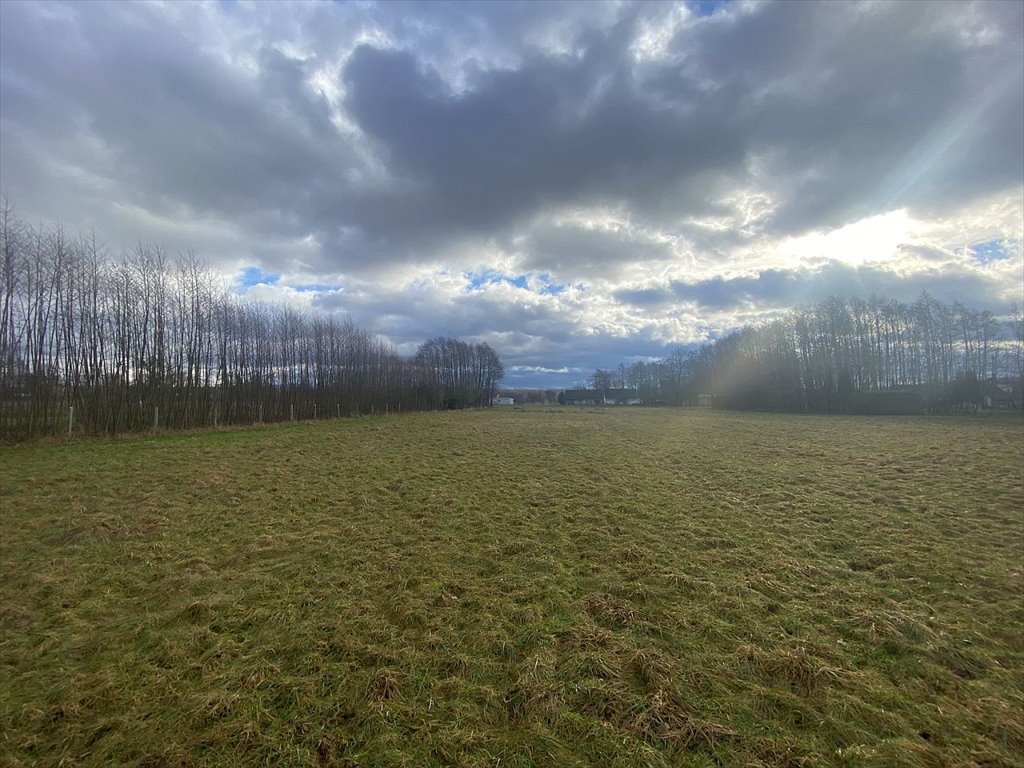 Działka budowlana na sprzedaż Kiczyce, Kiczyce  1 171m2 Foto 2