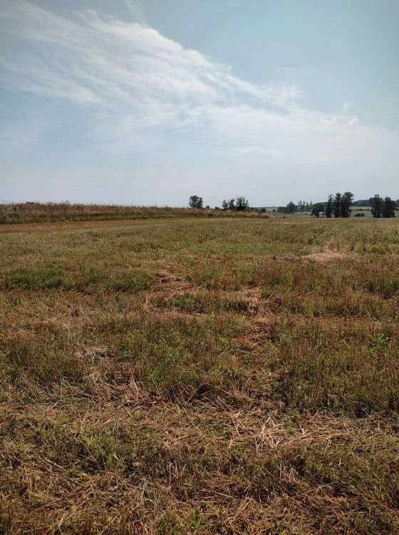 Działka budowlana na sprzedaż Kopisk  5 000m2 Foto 2