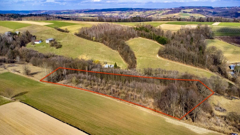 Działka 5474 m² pod zabudowę w Brzezinach - polecam! Brzeziny  5 474m2 Foto 1