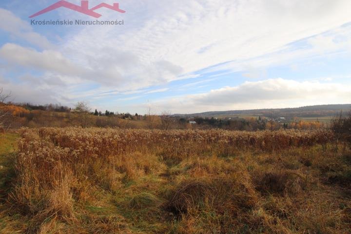 Działka rolna na sprzedaż Kopytowa  8 000m2 Foto 1