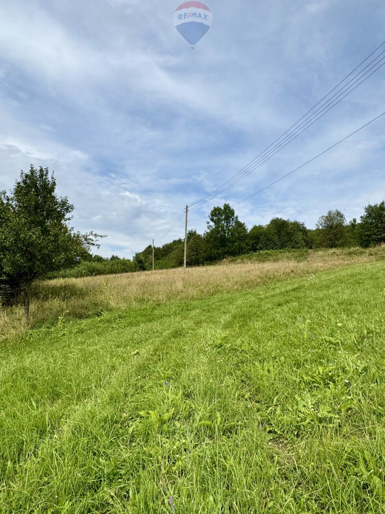 Działka budowlana na sprzedaż Tarnawa Dolna  5 838m2 Foto 7