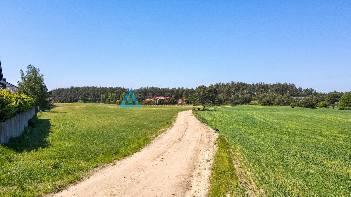 Działka budowlana na sprzedaż Bojano, Wrzosowa  14 300m2 Foto 4