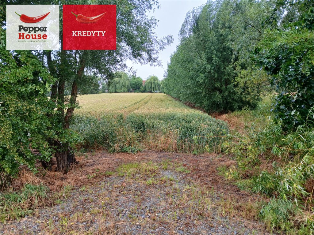 Działka budowlana na sprzedaż Ostaszewo, Długa  1 080m2 Foto 1