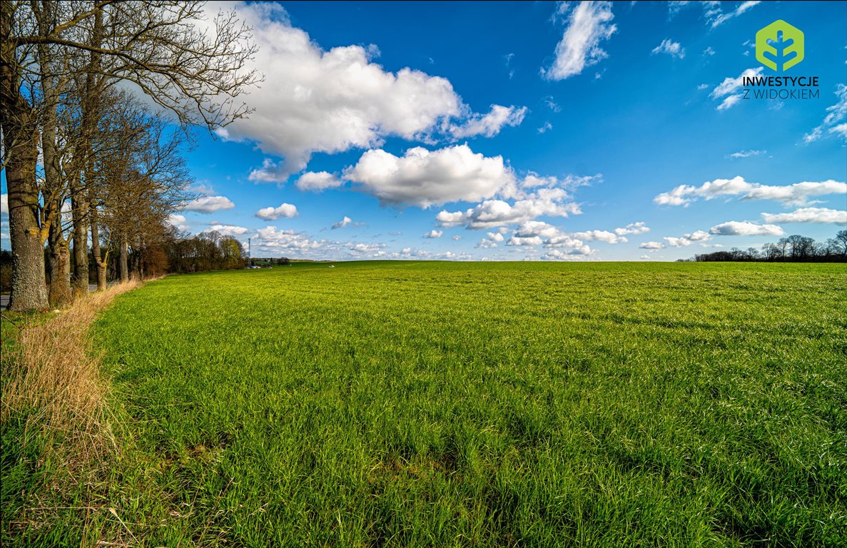 Działka budowlana na sprzedaż Malbork, Ostatnie wolne działki  100m od jeziora  1 270m2 Foto 5