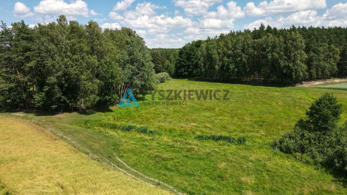 Działka rolna na sprzedaż Zielona Góra  8 155m2 Foto 7