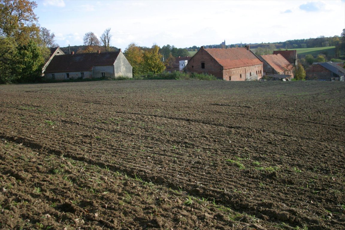 Lokal użytkowy na sprzedaż Wińsko  470 000m2 Foto 9