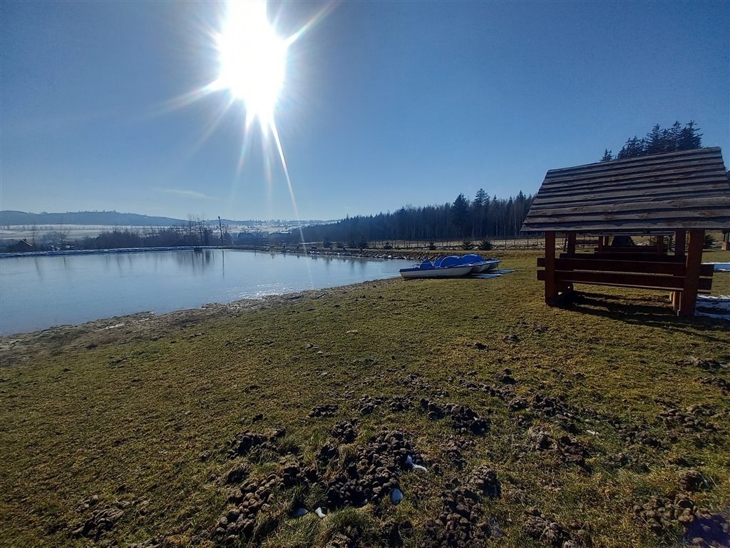 Działka inna na sprzedaż Borówno  6 940m2 Foto 8