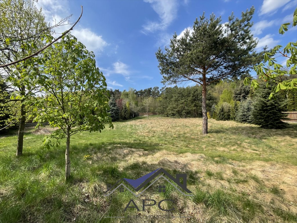 Działka budowlana na sprzedaż Krosinko, Ludwikowska  2 041m2 Foto 3