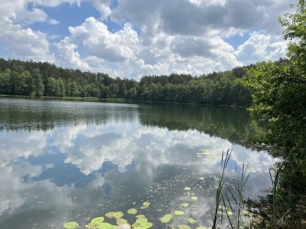 Działka budowlana na sprzedaż Świerkocin  10 451m2 Foto 1