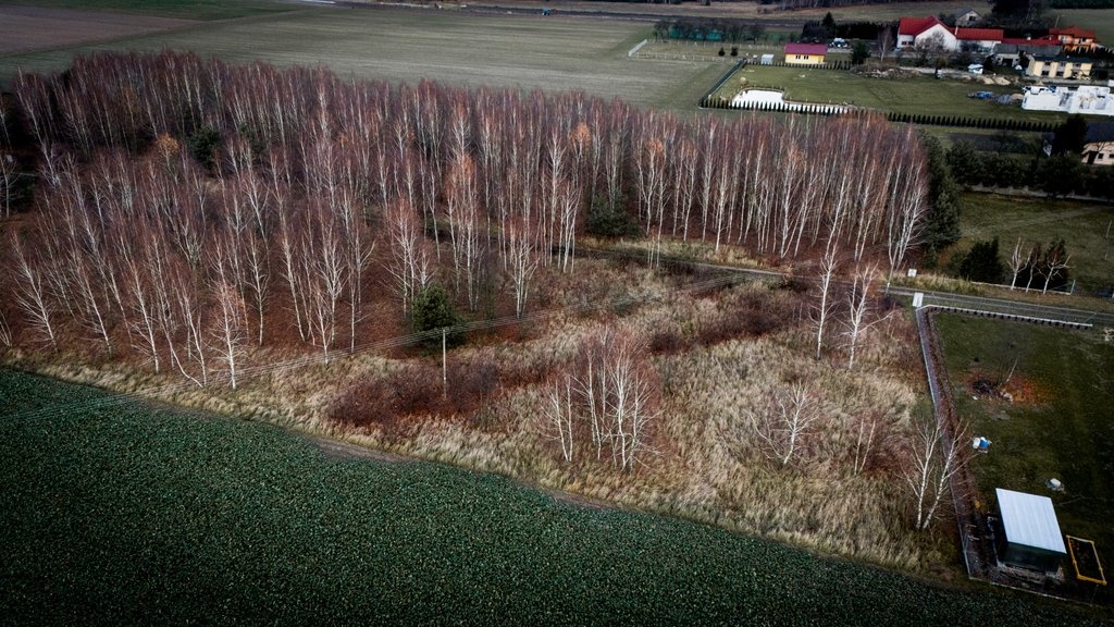 Działka rolna na sprzedaż Kotowice  3 400m2 Foto 5