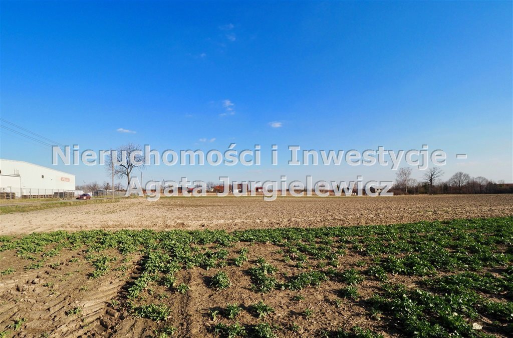 Działka przemysłowa 8 930 m² w Oleśnicy - polecam Oleśnica  8 930m2 Foto 1